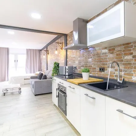 Acogedor Loft Bazan - Centro Apartament *